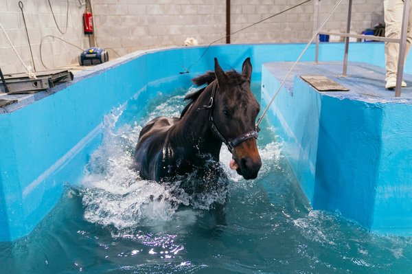 How Can Hydrotherapy Benefit Athletes in Post-Competition Recovery?