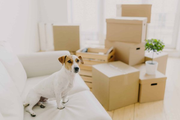 What Are the Most Comfortable Fabric Blends for All-Day Conferences?