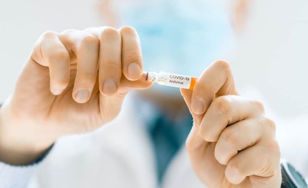 How can you prevent gum disease in aging felines through dental hygiene?