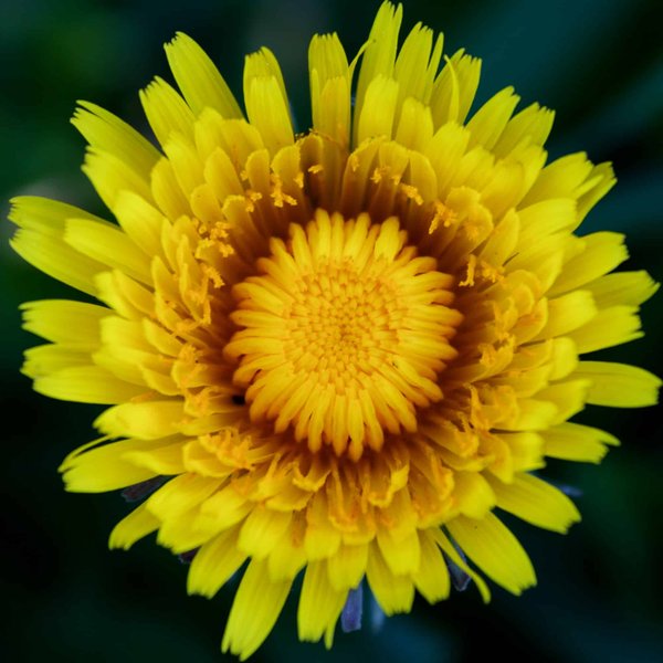 What Are the Steps to Implementing a Circular Economy Business Model in the UK?